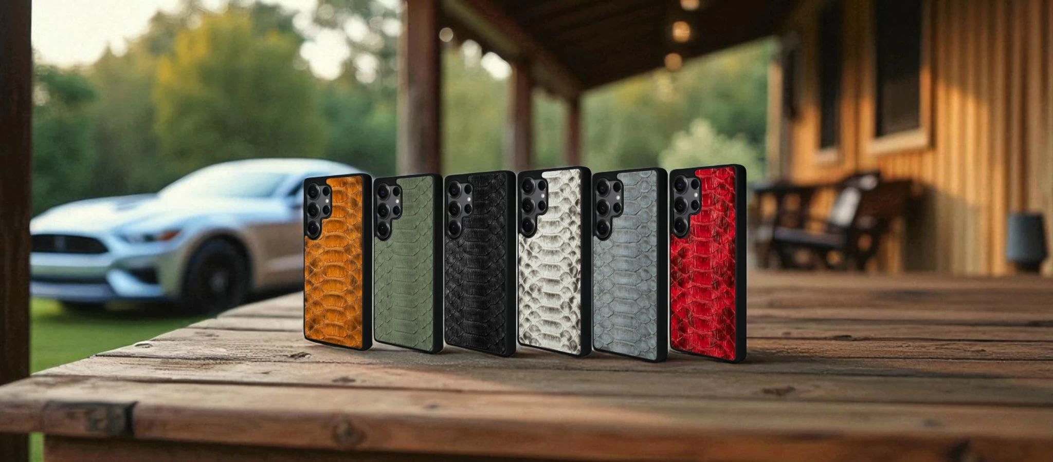 SkinBacker`s Python